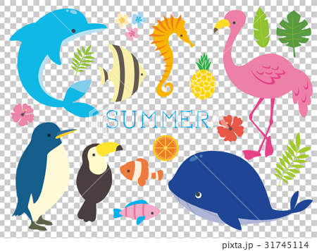 夏の動物イラストのイラスト素材