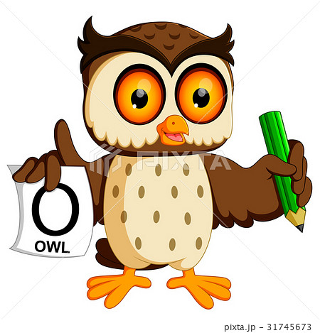 cute owl writing 31745673