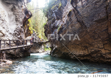 Canyon in Banff NP 31745697