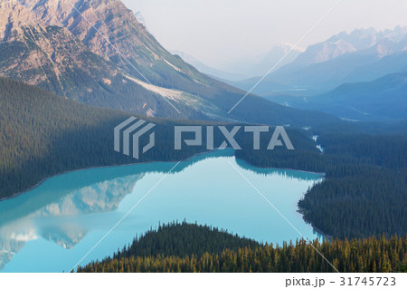 Peyto lake Peyto lake 31745723