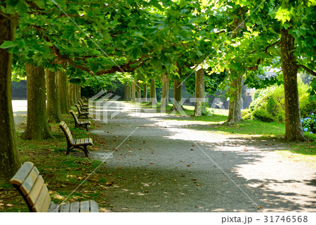 やすらぎ広場 31746568