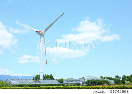草津烏丸半島の水生植物園と風力発電 31746668
