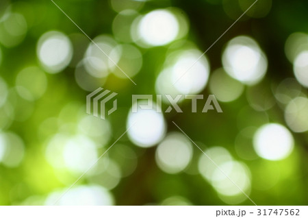 Bokeh natural color background, colorful leaf  31747562