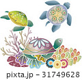紅型風沖縄の海の生物-ウミガメとサンゴ 31749628