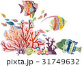 紅型風沖縄の海の生物-熱帯魚とサンゴ 31749632