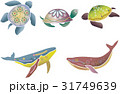 紅型風沖縄の海の生物セット-ウミガメ・クジラ 31749639