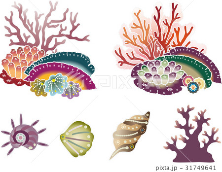 紅型風沖縄の海の生物セット サンゴと貝のイラスト素材