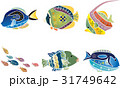 紅型風沖縄の海の生物セット-熱帯魚 31749642
