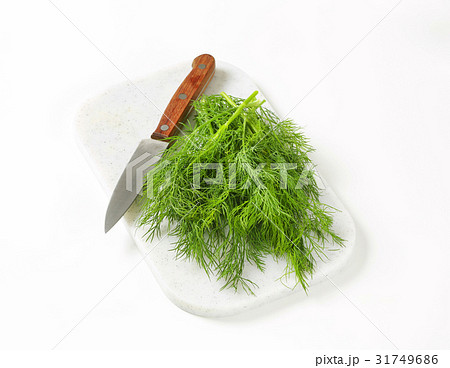 Fresh dill weed 31749686