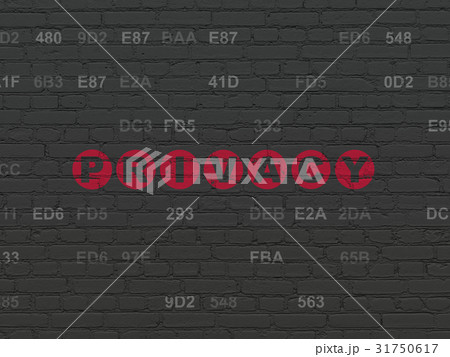 Security concept: Privacy on wall background 31750617