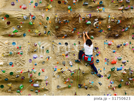 スポーツクライミング 31750623