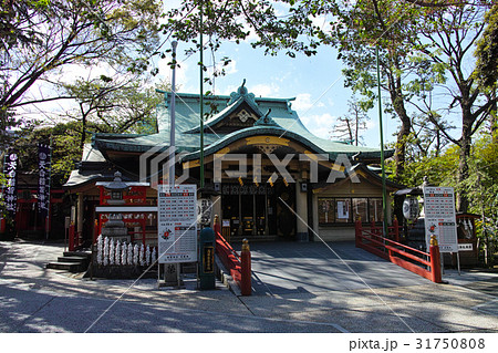 東京 四谷須賀神社 東京 四谷須賀神社 31750808
