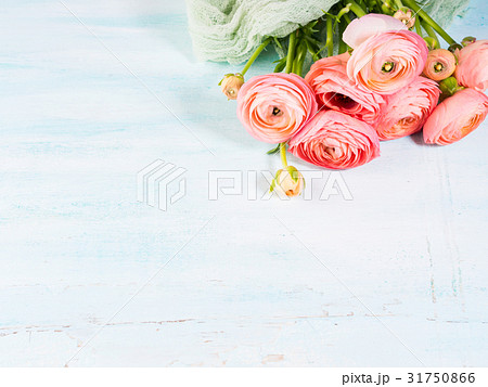 Beautiful pink ranunculus bouquet on turquoise 31750866