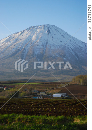 雄大な蝦夷の富士羊蹄山02 31751741