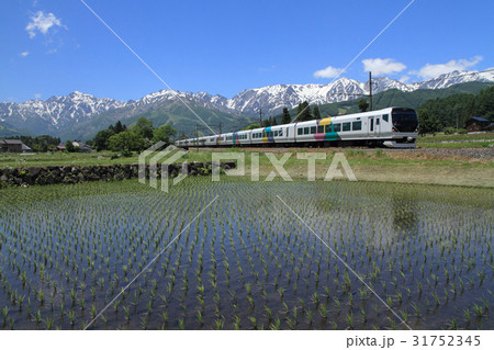 大糸線　初夏の白馬山麓 31752345