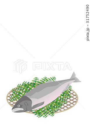 秋の風物詩鮭 31752490