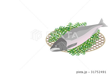 秋の風物詩鮭 31752491