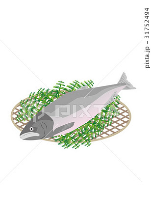 秋の風物詩鮭 31752494