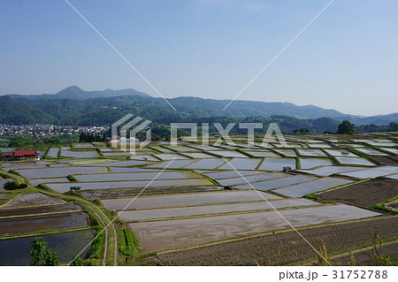 椹平の棚田 椹平の棚田 31752788