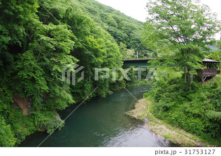 信州 木曽の名勝 巴淵(超広角:公園の東屋と) 武将 木曽義仲の愛妾「巴御前」にちなむ竜神がひそむ淵 信州 木曽の名勝 巴淵(超広角:公園の東屋と) 武将 木曽義仲の愛妾「巴御前」にちなむ竜神がひそむ淵 31753127