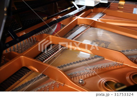 グランドピアノ グランドピアノ 31753324