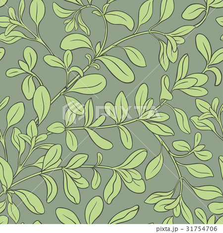 marjoram vector pattern 31754706