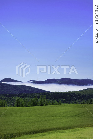 丘の風景 棚引く雲 北落合 南富良野 丘の風景 棚引く雲 北落合 南富良野 31754823