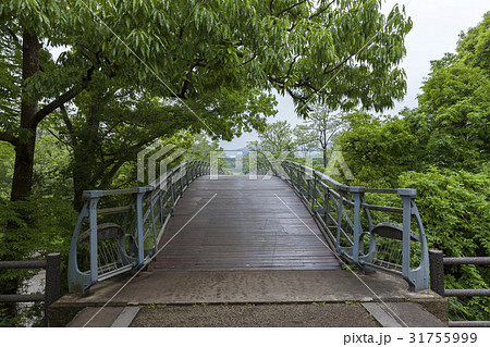 吊り橋 吊り橋 31755999