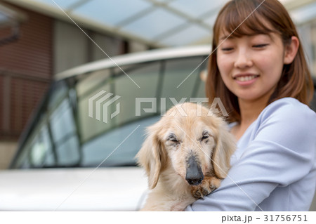 シニアの愛犬を抱く女性 31756751