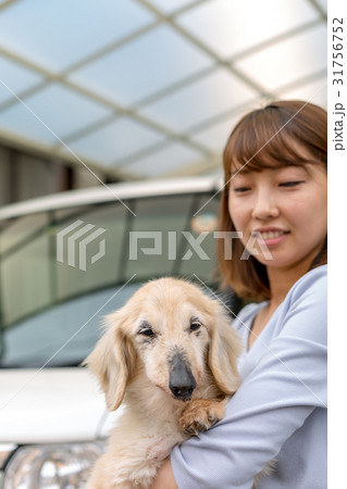 シニアの愛犬を抱く女性 31756752