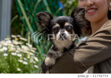 愛犬を抱く女性 31756754