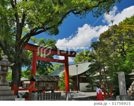京都・城南宮 31756915