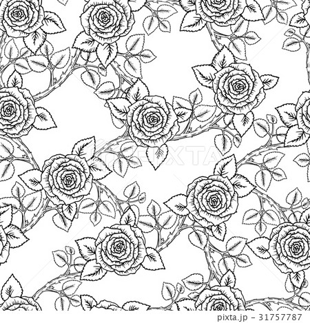 beautiful black and white seamless pattern roses のイラスト素材 [31757787] - PIXTA