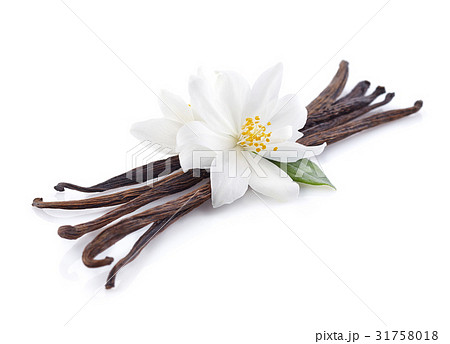 Jasmine with vanilla Jasmine with vanilla 31758018
