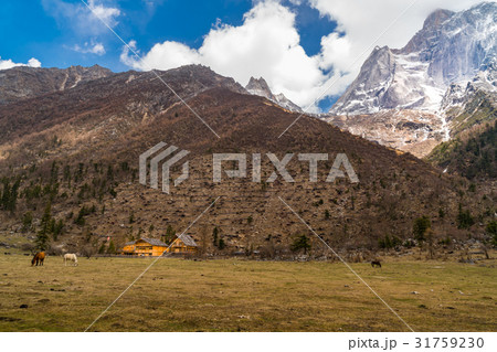 View of snow mountain at Siguniang National Park View of snow mountain at Siguniang National Park 31759230