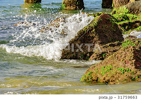 Wave splash on rock Wave splash on rock 31759663