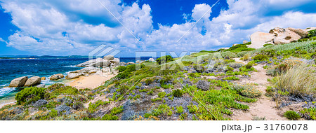 Walking path along sandstone rocksy coastline of 31760078