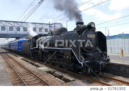 D51 31761302