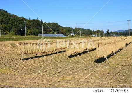 田園風景･稲掛（埼玉県秩父市） 31762408
