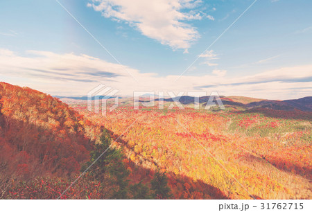 Blue Ridge Mountains in autumn in North Carolina 31762715