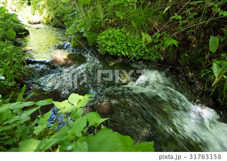 小川と水の流れ 31763158