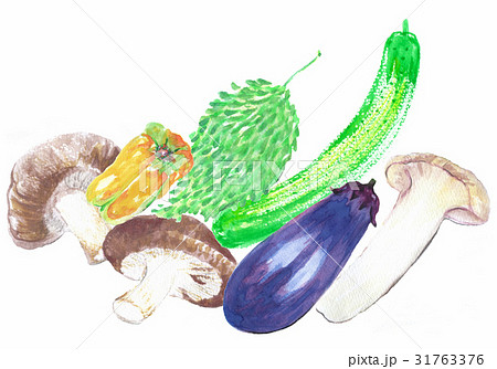 食材の野菜 31763376