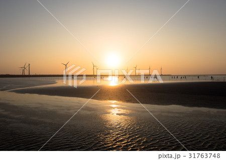 高美湿地風景区 31763748