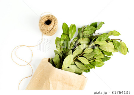 Branches of laurel bay leaves in paper bag 31764135