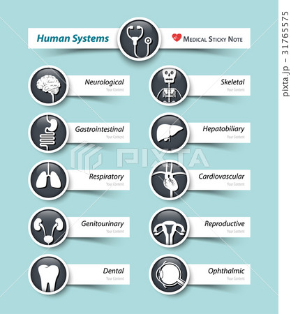 Human systems . Medical icon and sticky note . 31765575