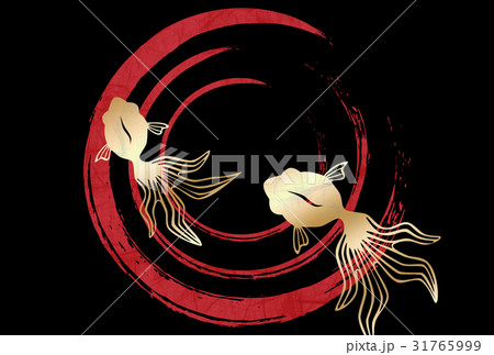 泳ぐ金魚 31765999