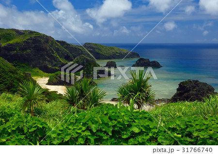沖縄県島尻郡座間味村　座間味島　女瀬の崎　遠望 31766740
