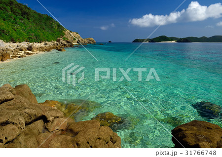 沖縄県島尻郡座間味村　阿嘉島　北浜 31766748