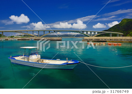 沖縄県島尻郡座間味村　阿嘉島　阿嘉漁港 31766749