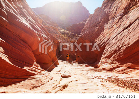 Hike in Utah 31767151